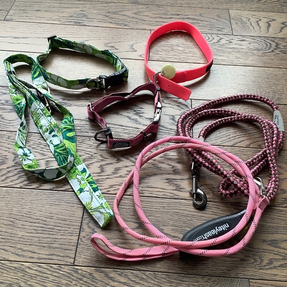 NWOT Bundle of Dog Collars and Leashes - Picture 1 of 7
